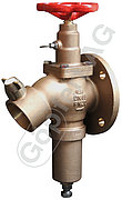 Hose pressure regulator valve with integrally cast coupling type Instantaneous BS336 (British Standard)